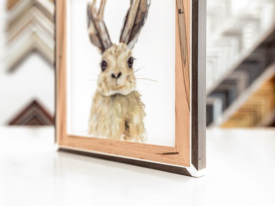 Images Hang Steady Custom Picture Framing