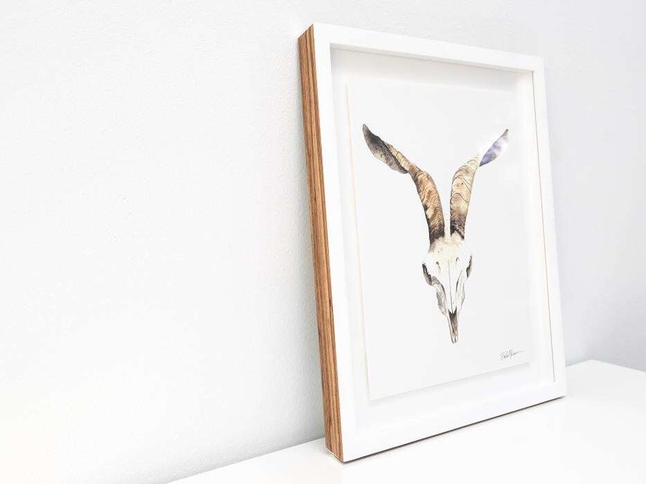 Images Hang Steady Custom Picture Framing