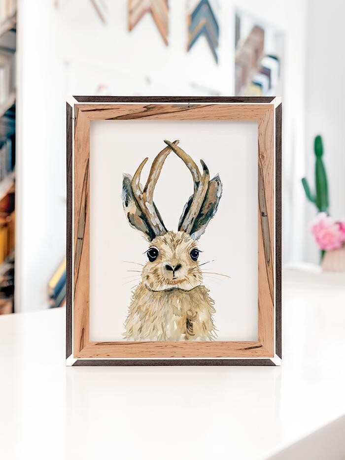 Images Hang Steady Custom Picture Framing