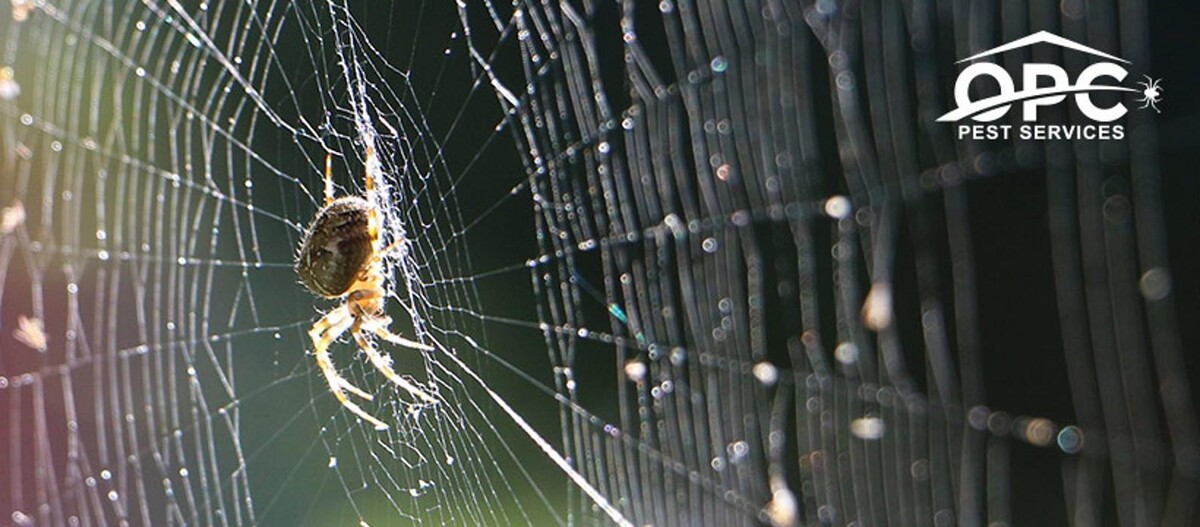 Images OPC Pest Services - Bardstown