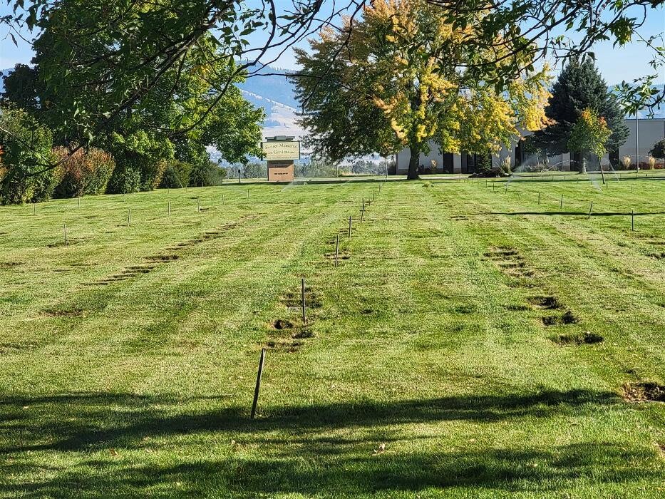 Images Simmons Sprinkler Service