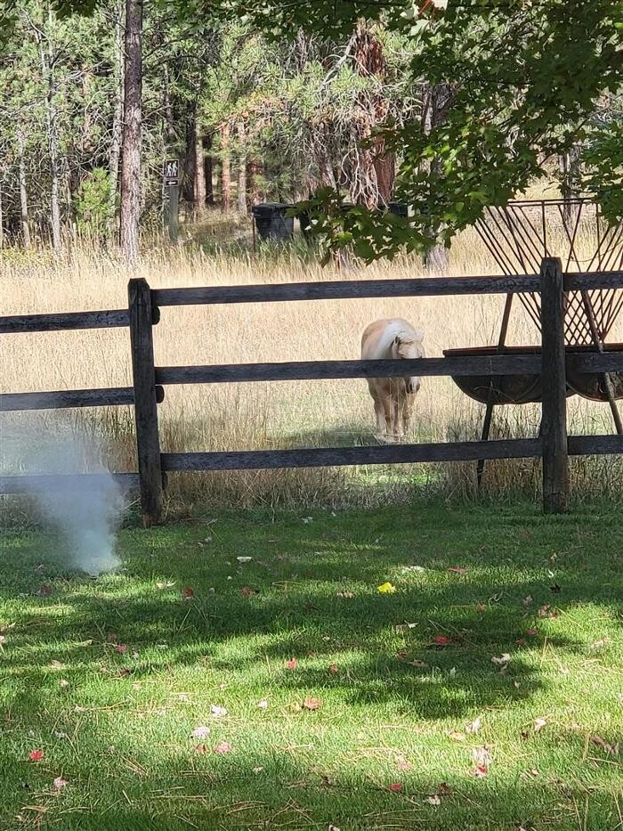 Images Simmons Sprinkler Service