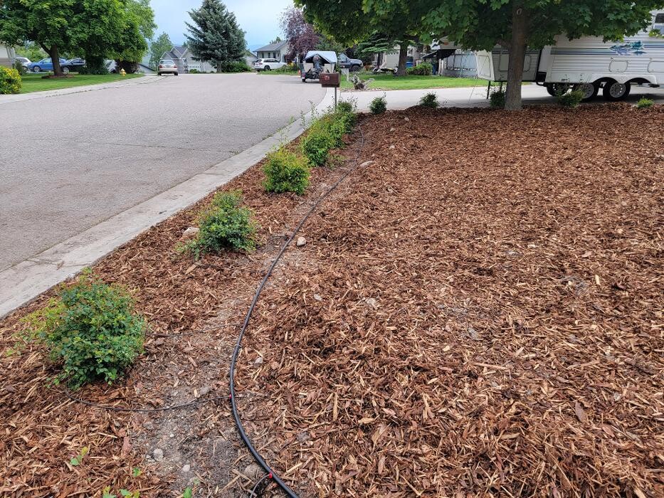 Images Simmons Sprinkler Service