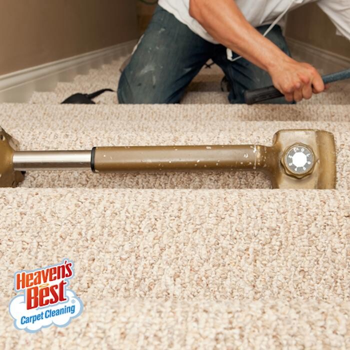 Images Heaven's Best Carpet Cleaning of Elk Grove