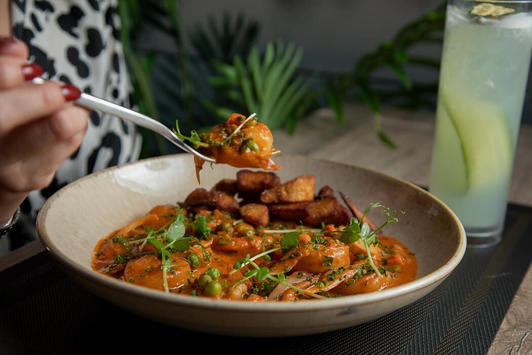 Images Kuba On The Bay