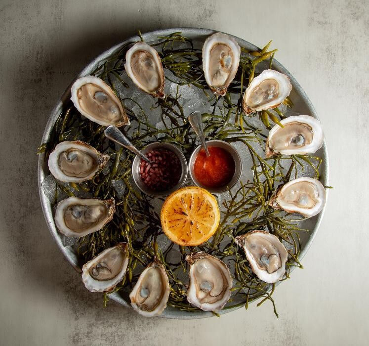 Images Kuba On The Bay