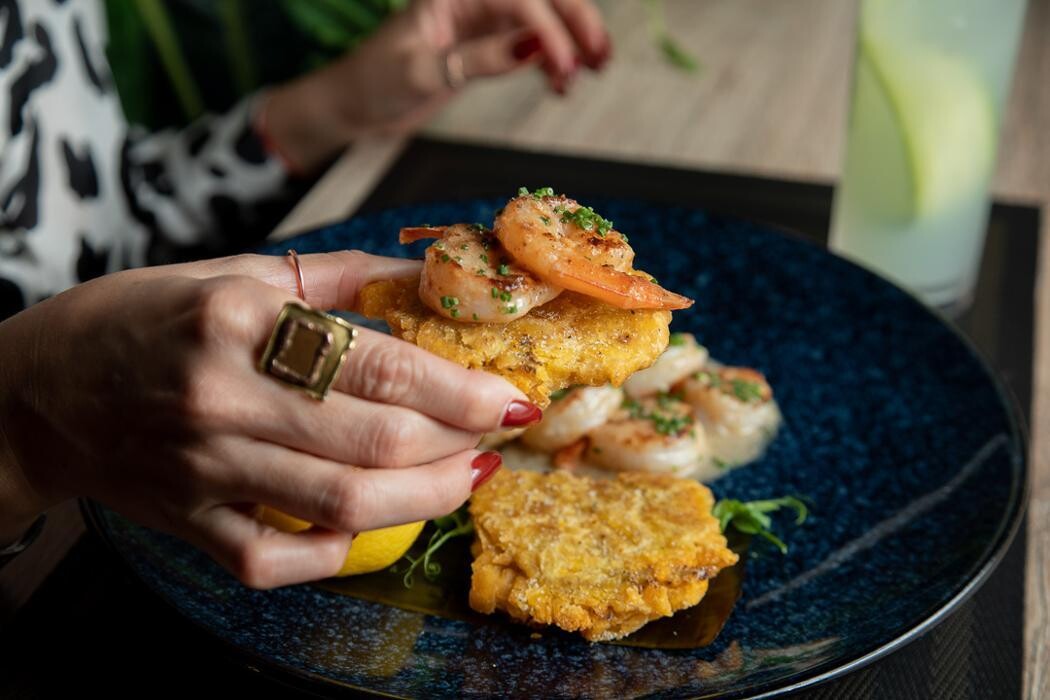 Images Kuba On The Bay