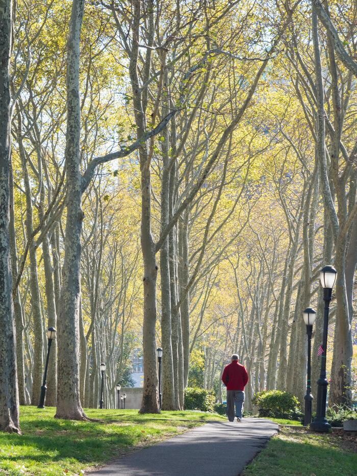 Images EHS St. George Towers Residence