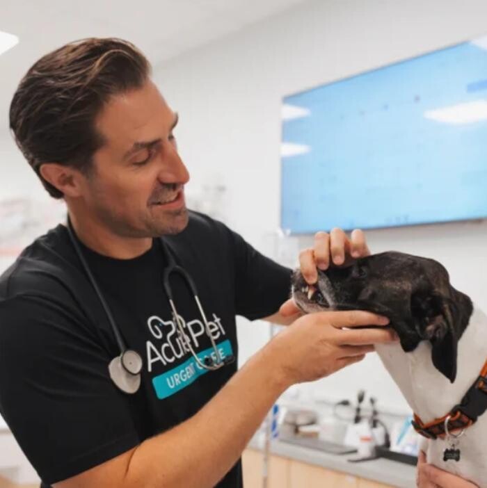 Images AcutePet Urgent Care