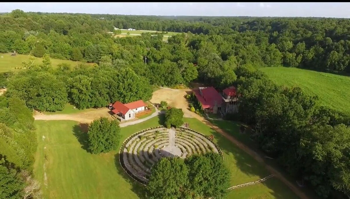 Images Kelly's Jubilee