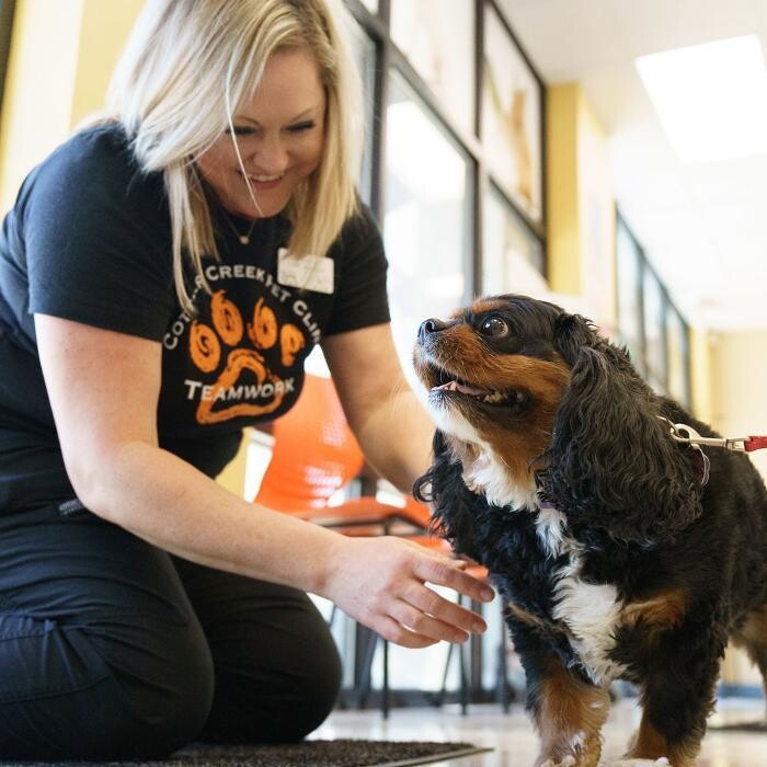 Images Omaha Vets Group