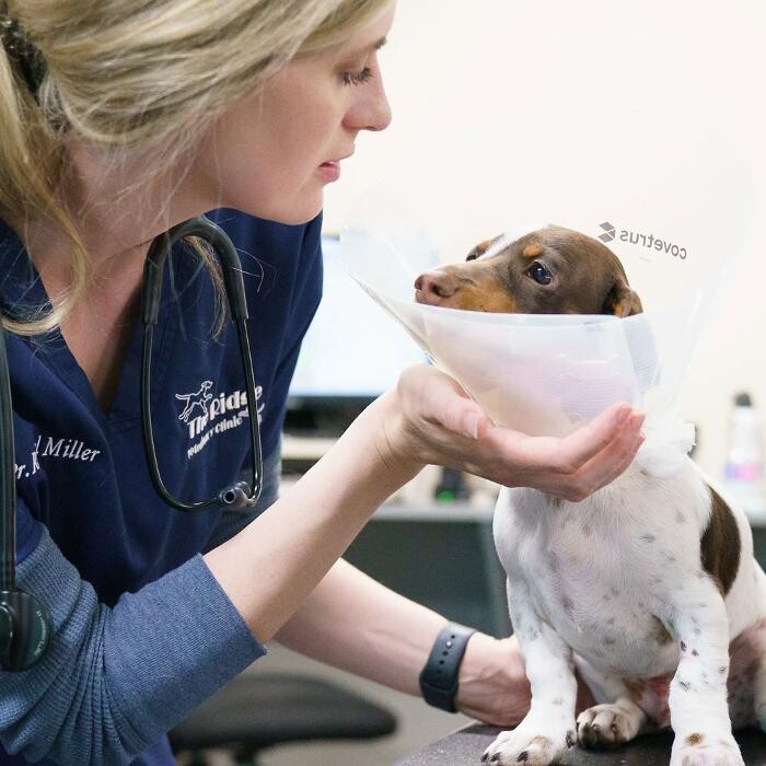 Images Omaha Vets Group