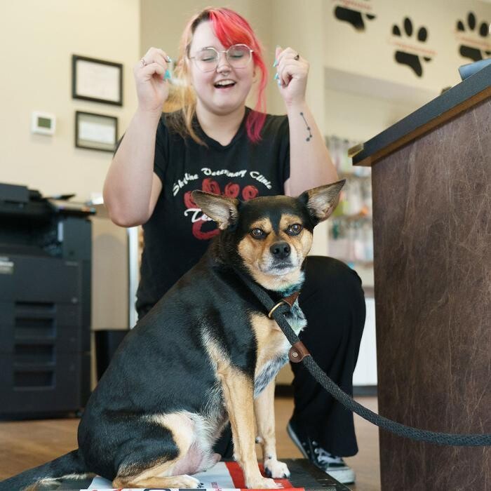 Images Omaha Vets Group