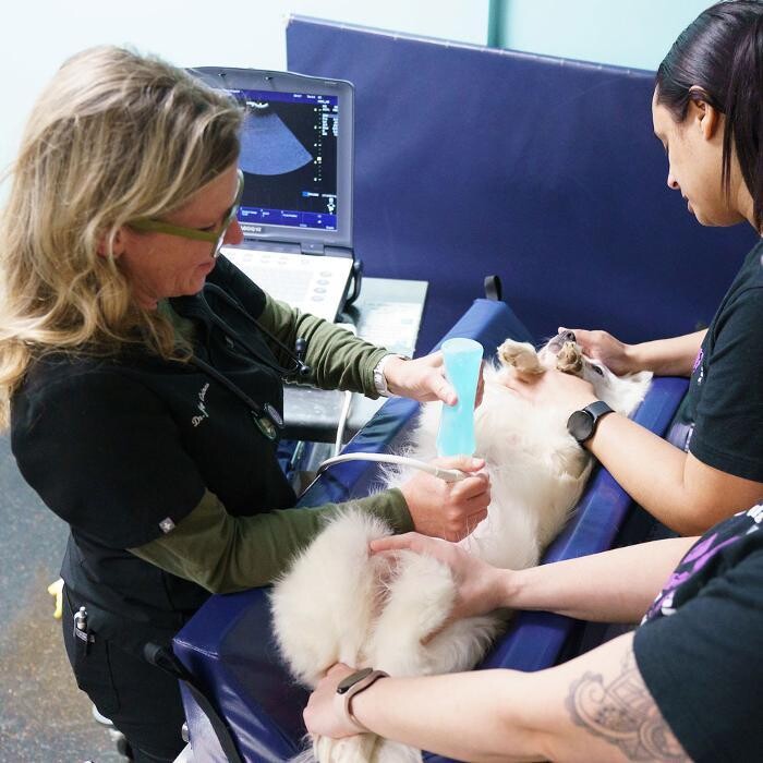 Images Omaha Vets Group