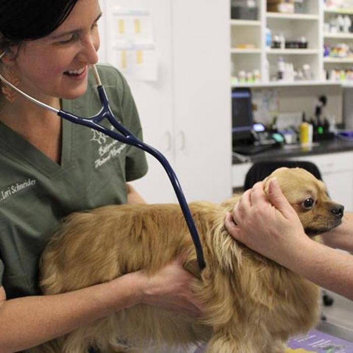 Images Omaha Vets Group