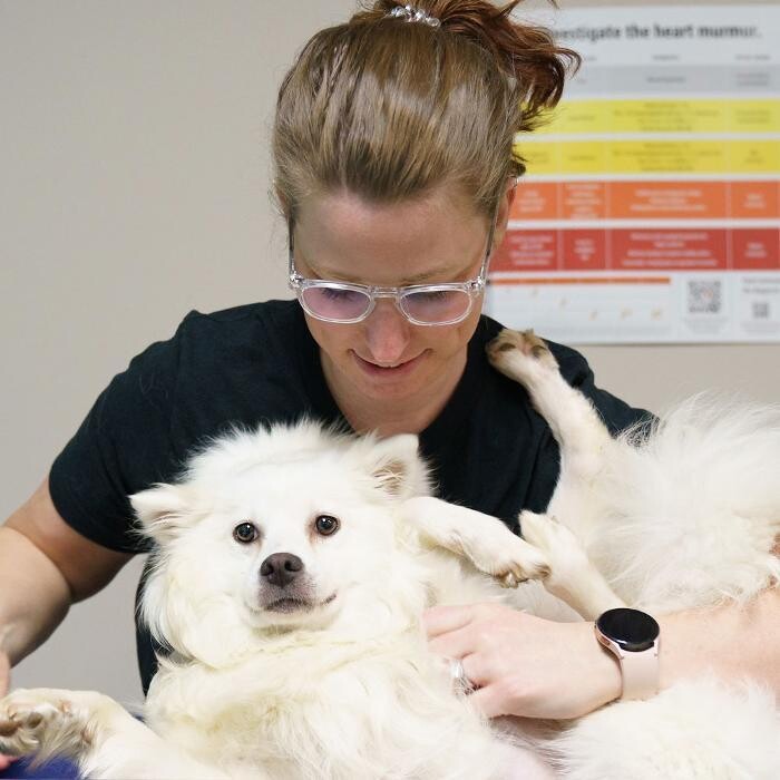 Images Omaha Vets Group