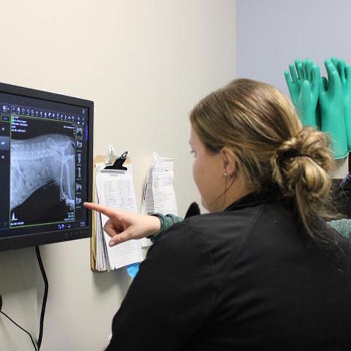 Images Omaha Vets Group