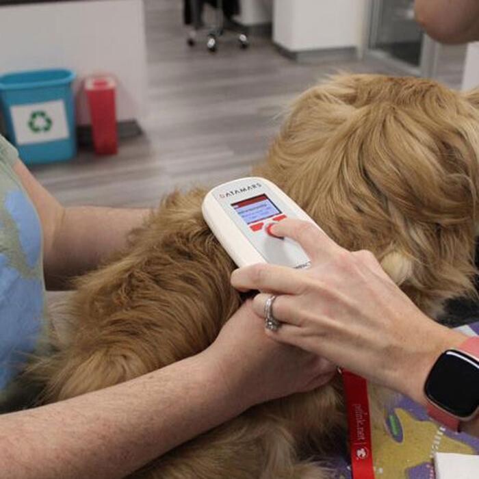 Images Omaha Vets Group