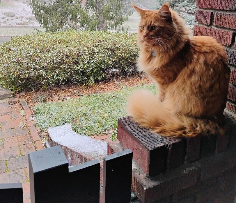 Images Sarah Barkley LCSW