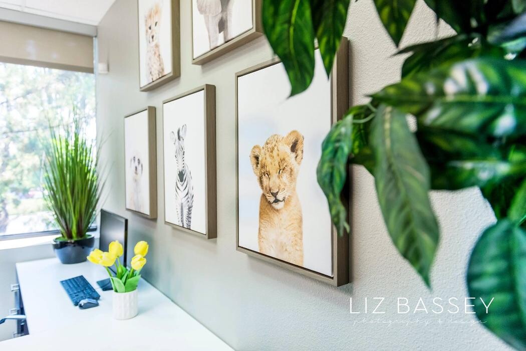 Images Magic Smiles Dentistry for Children and Young Adults