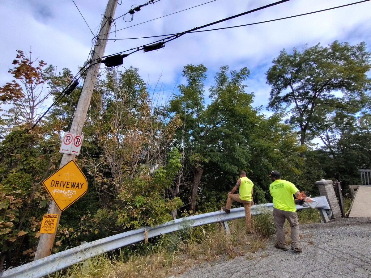 Images Gary & Sons Tree Service LLC