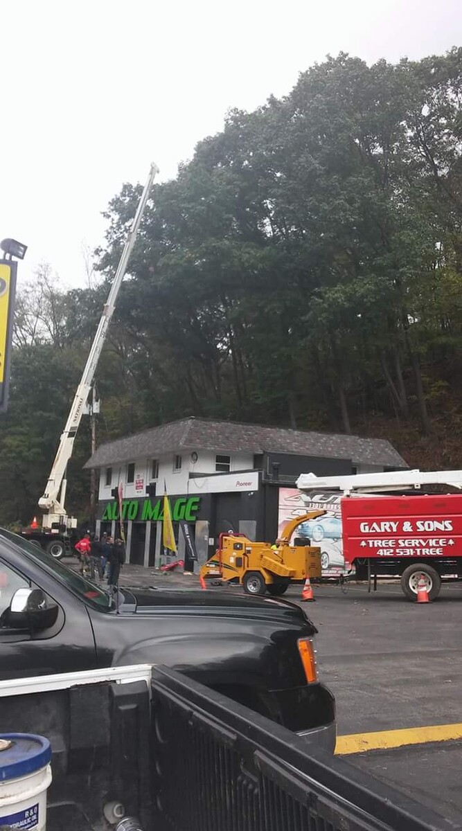 Images Gary & Sons Tree Service LLC