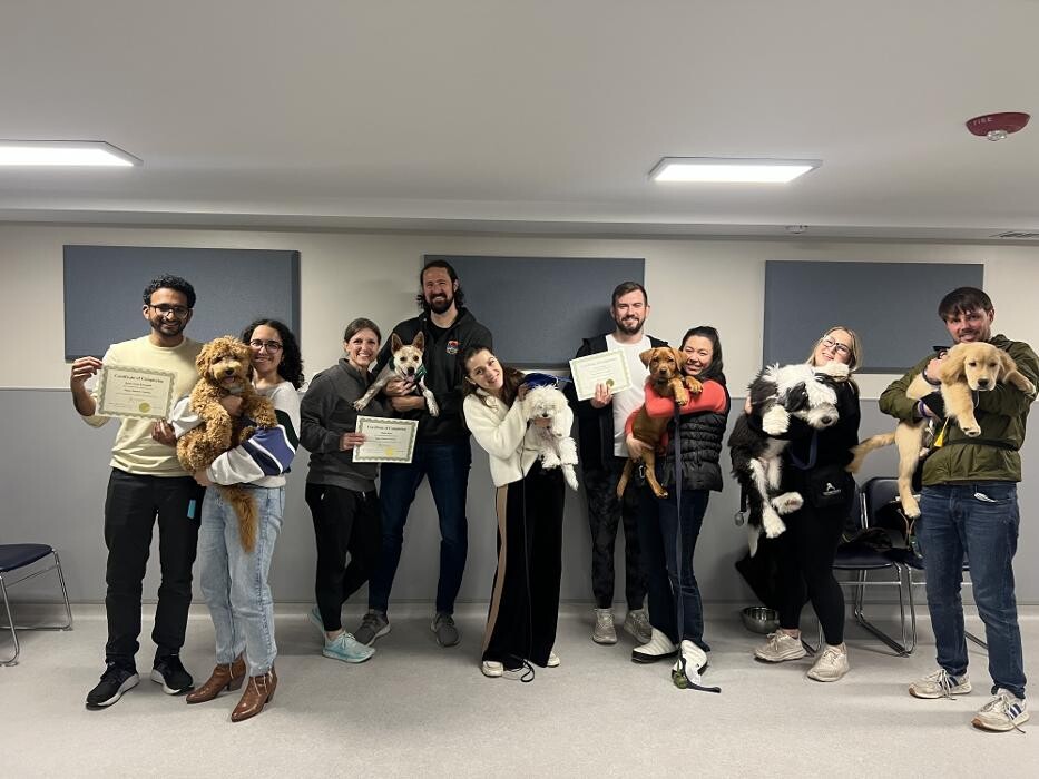 Images Tucker Pup's Pet Resort