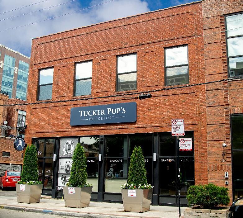 Images Tucker Pup's Pet Resort