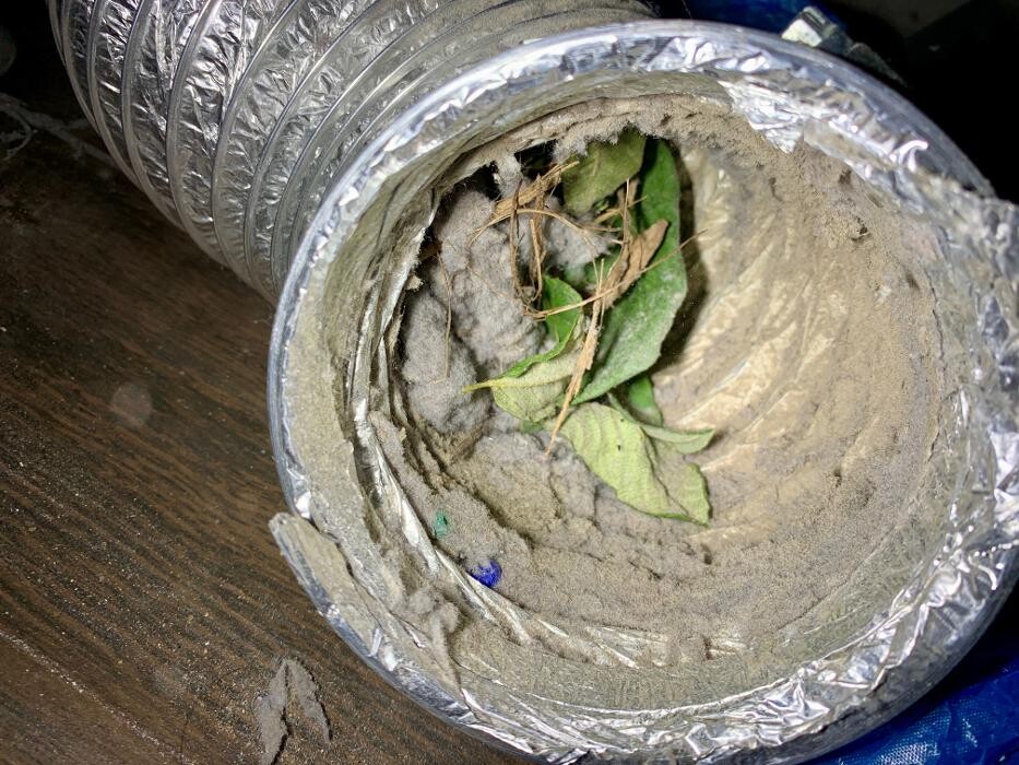 Images HomeSmiles Northern Kentucky