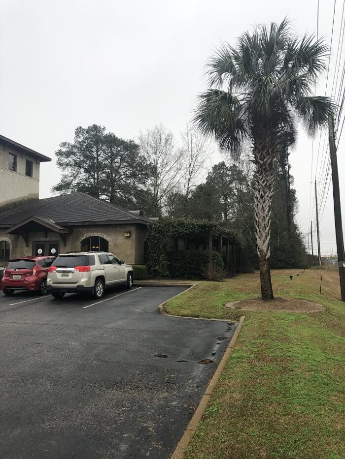 Images Center for Vein Restoration | Dr. David Fortenberry