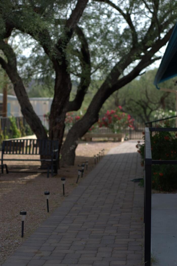 Images Restoring Vitality