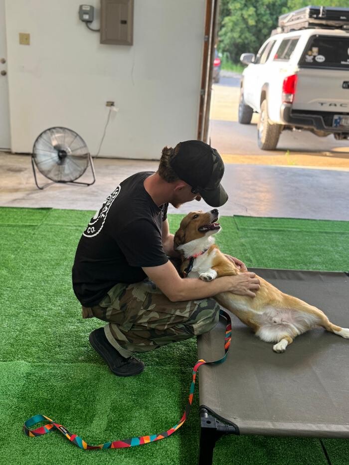 Images K9 Actual Training Co LLC