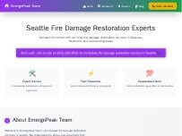 Website Screenshot EmergePeak Team