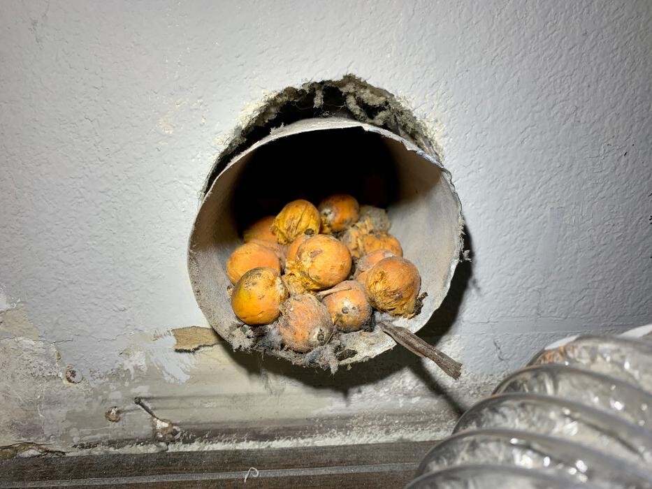 Images HomeSmiles Orlando