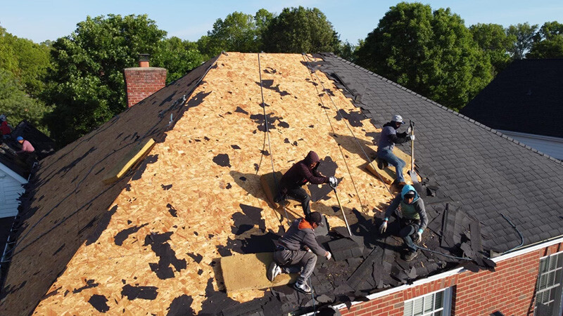 Images The Roof Detective