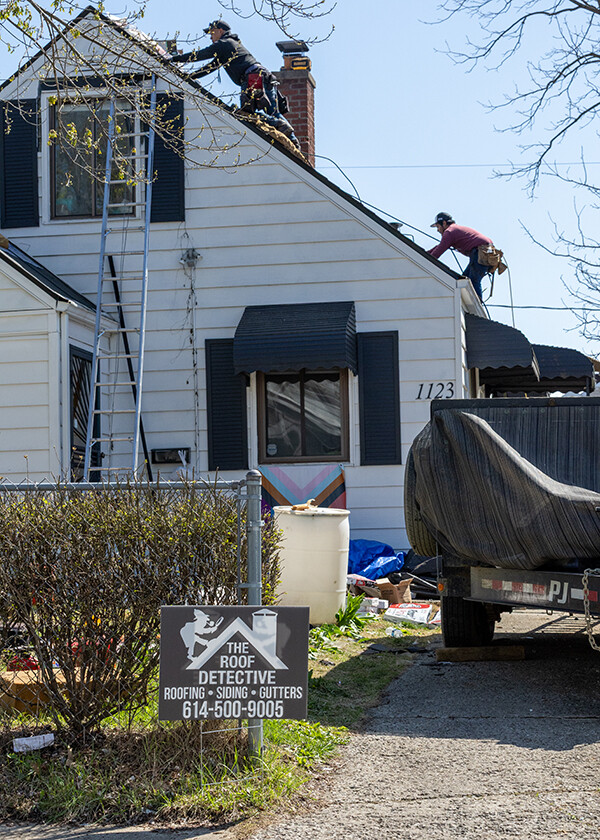 Images The Roof Detective