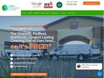 Website Screenshot Green Steamer Plus