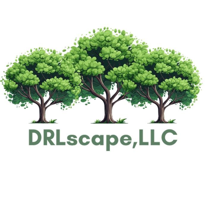 Images DRLscape, LLC
