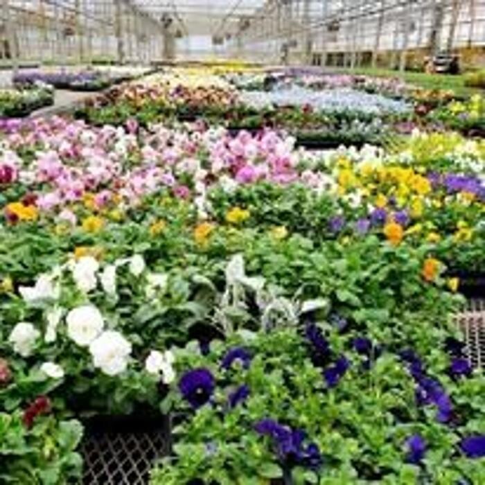 Images DRLscape, LLC