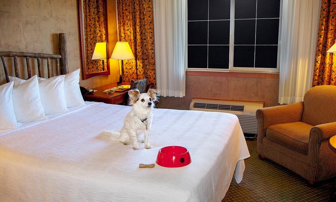 Images The Mill Casino Hotel & RV Park