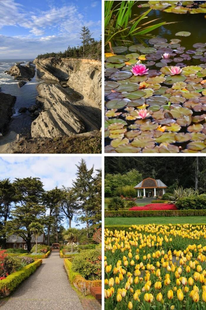 Images The Mill Casino Hotel & RV Park