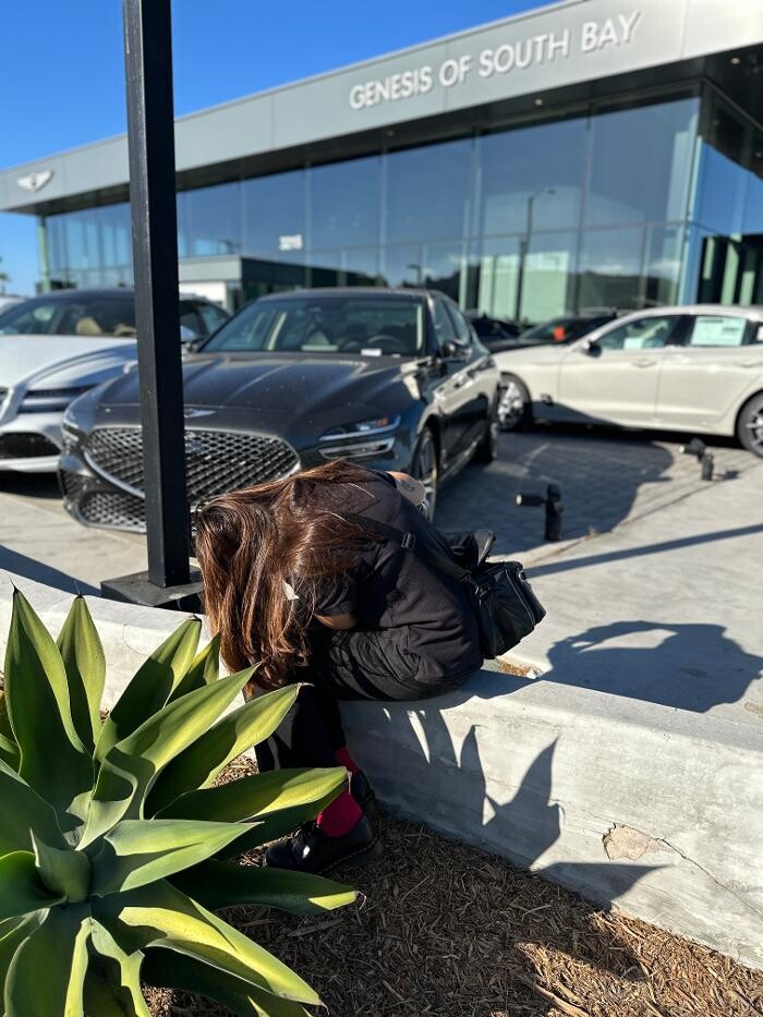 Images Genesis of South Bay