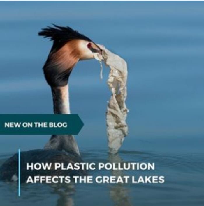 Images Bottleless Nation