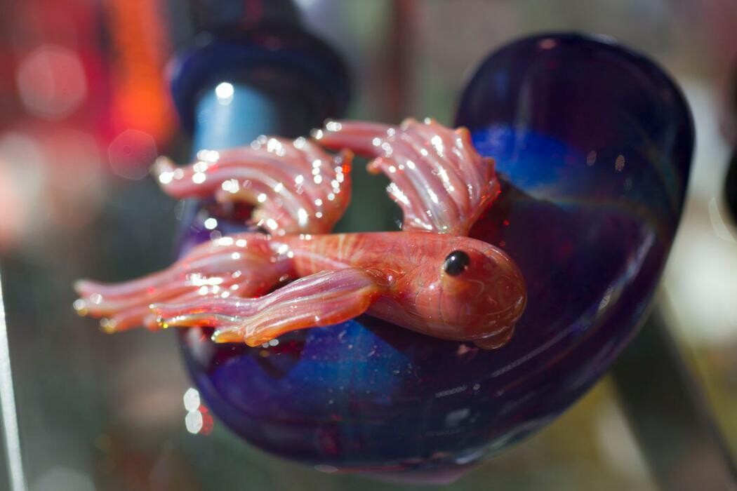 Images 710 Pipes - Smoke Shop