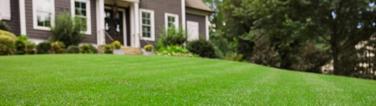 Images Nature's Turf