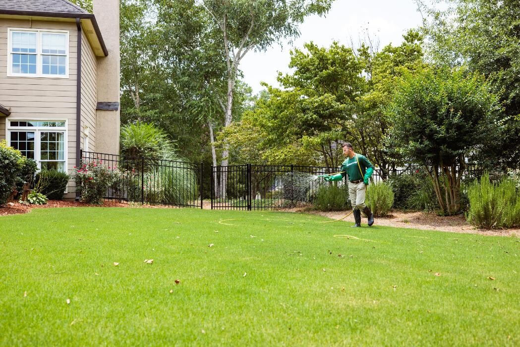 Images Nature's Turf