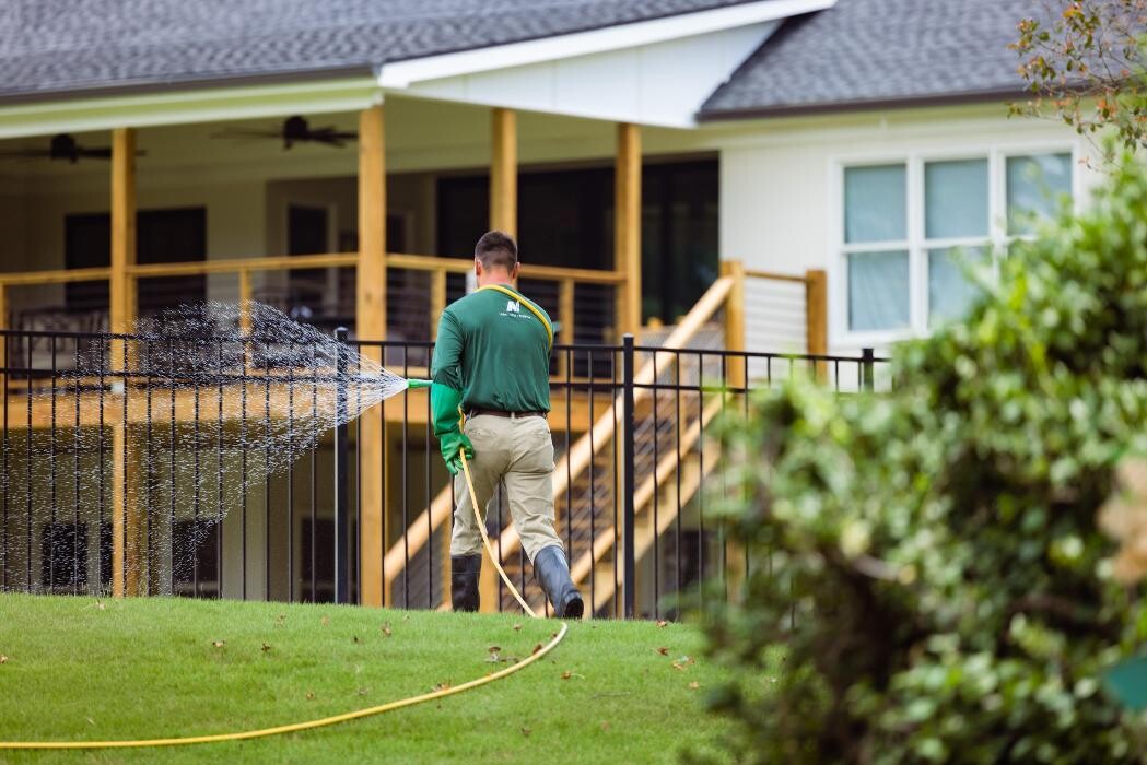 Images Nature's Turf