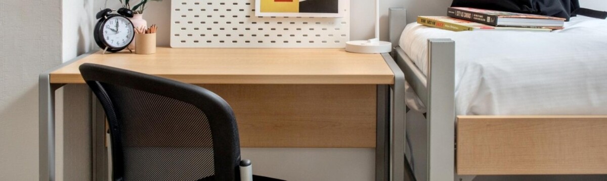 Images FOUND Study Turtle Bay