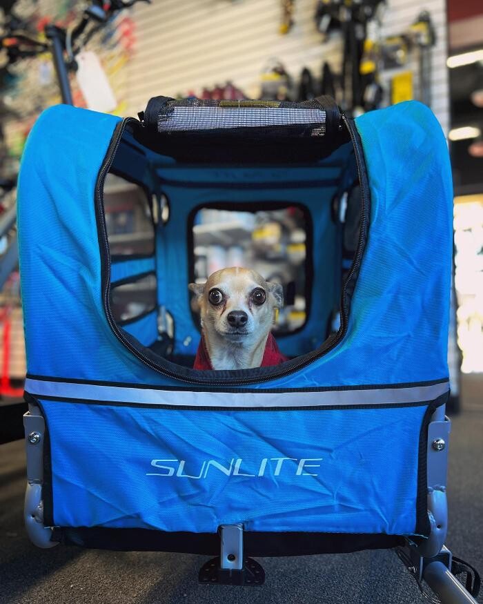 Images Archer's Bikes SLC