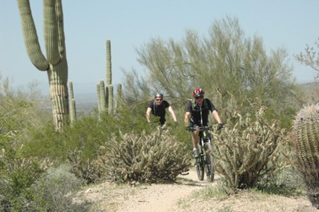 Images Archer's Bikes SLC